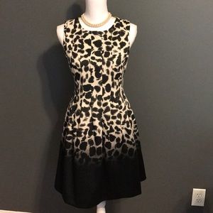 NWT! Vince Camuto dress size 6